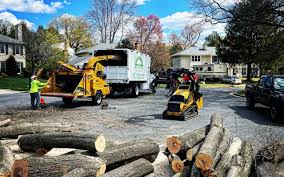 Professional Tree Care in Tichigan, WI